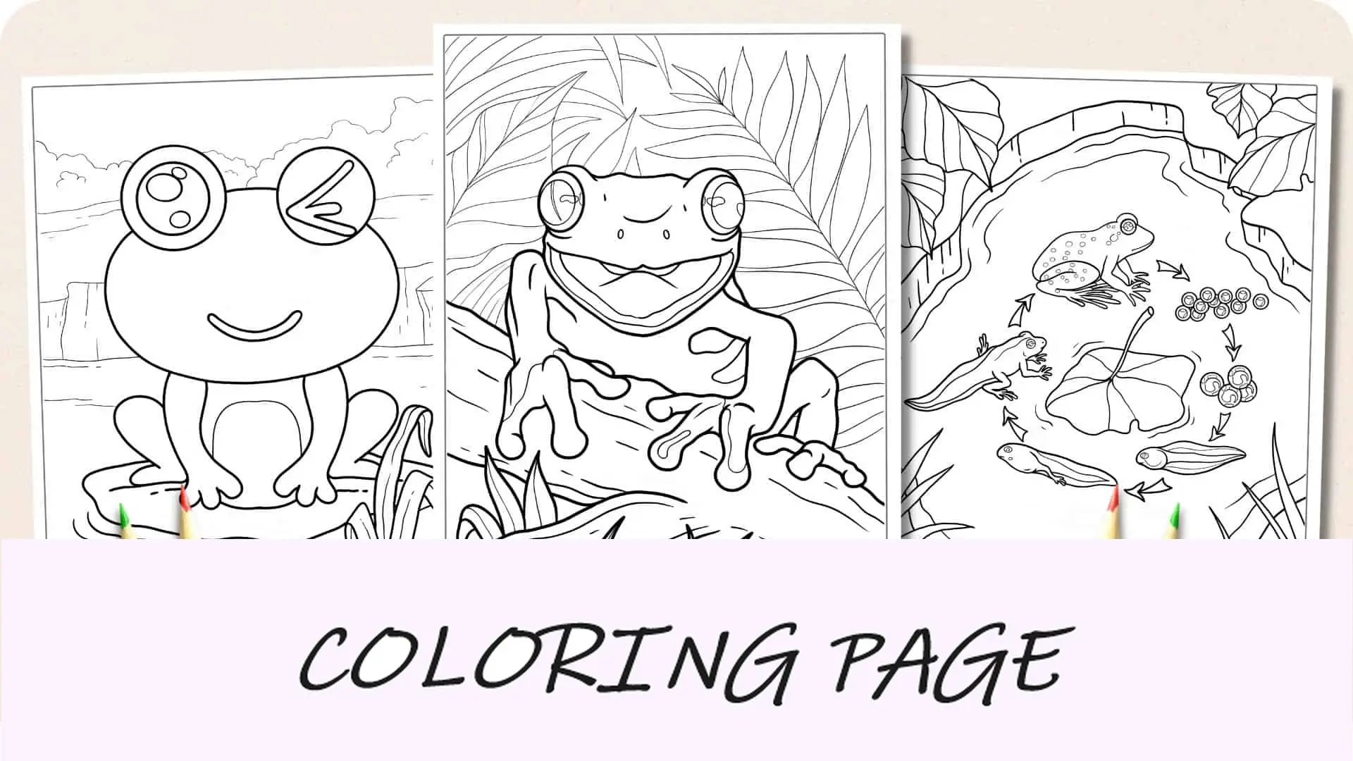 Desenhos para colorir de sapo