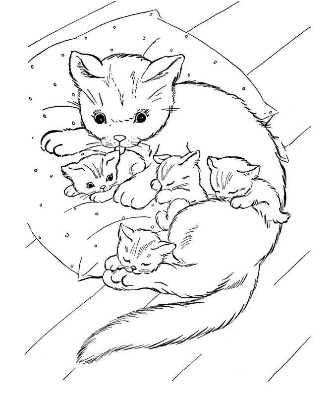 Páginas para colorir de gatos