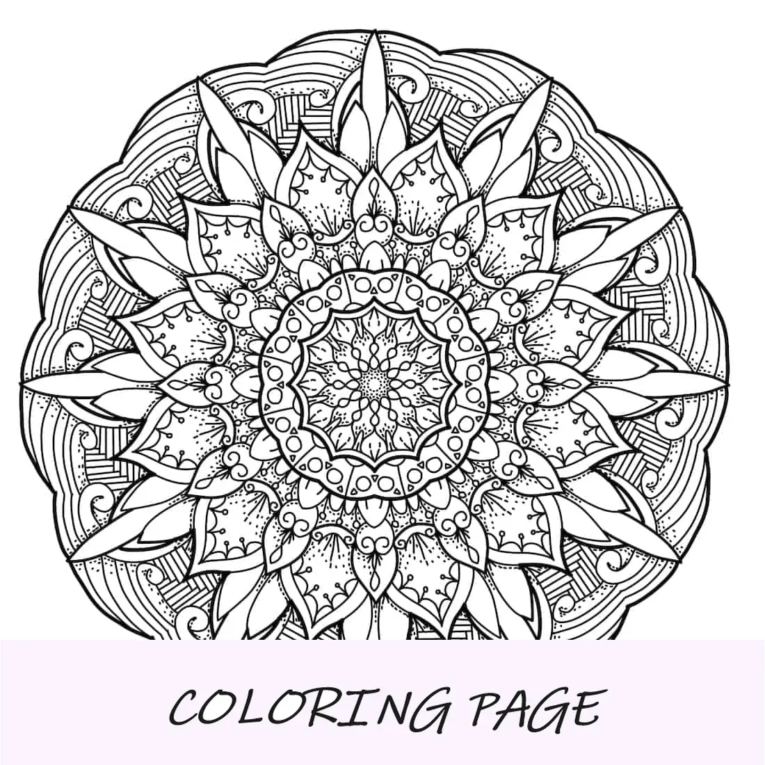 Nossas Mandalas