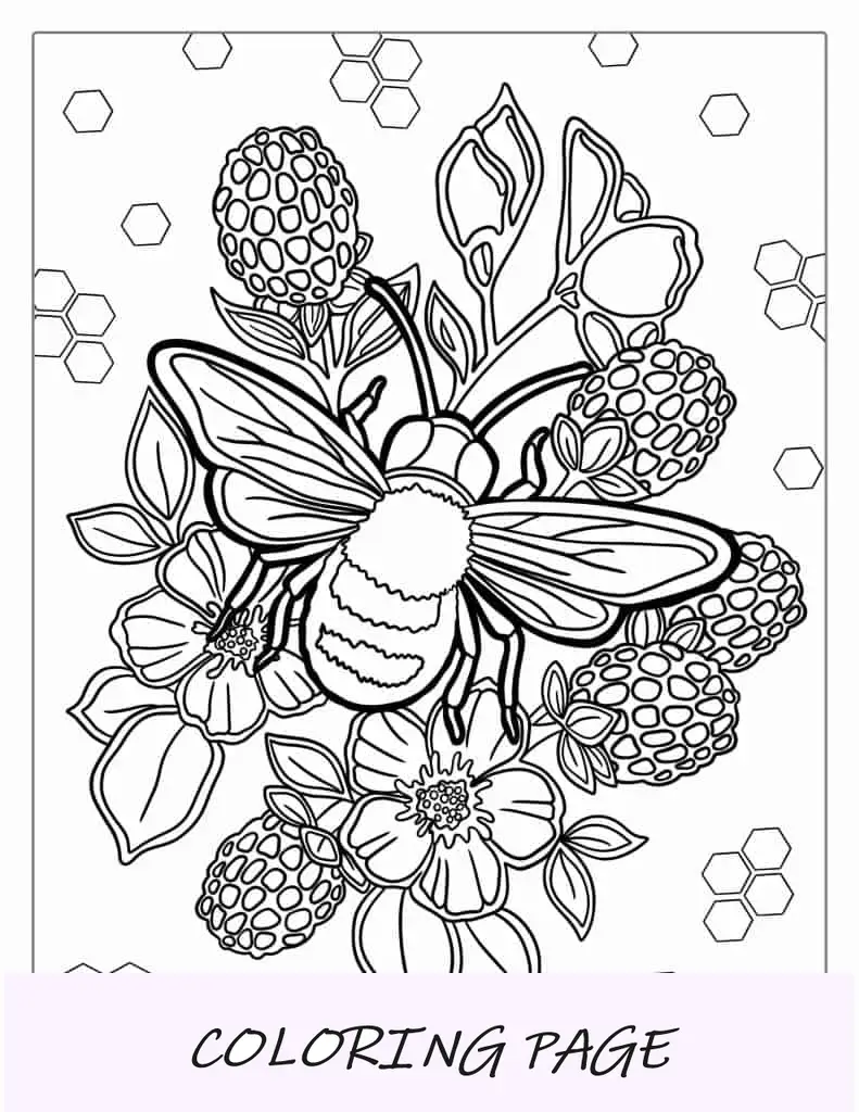 Hoja para colorear artística de abeja con panal para adultos