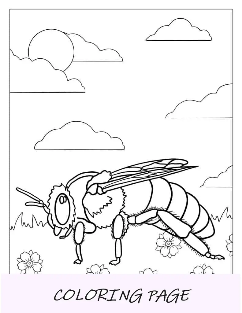 Hoja Para Colorear Detallada Abeja Sentada Sobre La Hierba