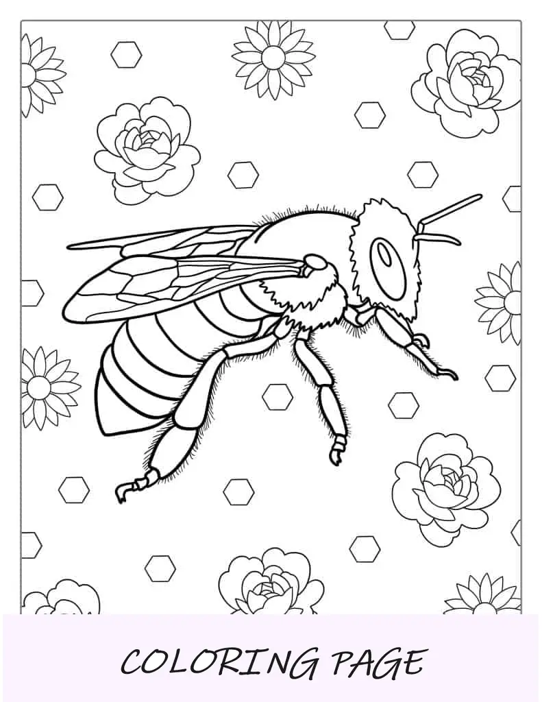 Página para colorear de abeja realista