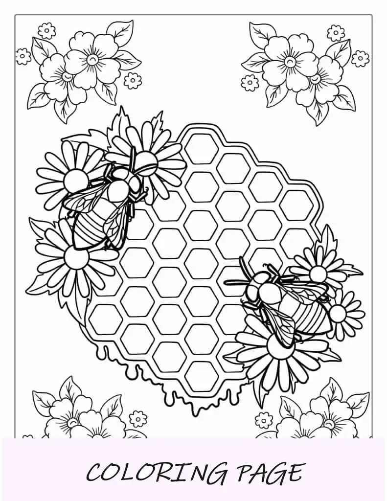 Abejas detalladas con panal de miel para colorear para adultos