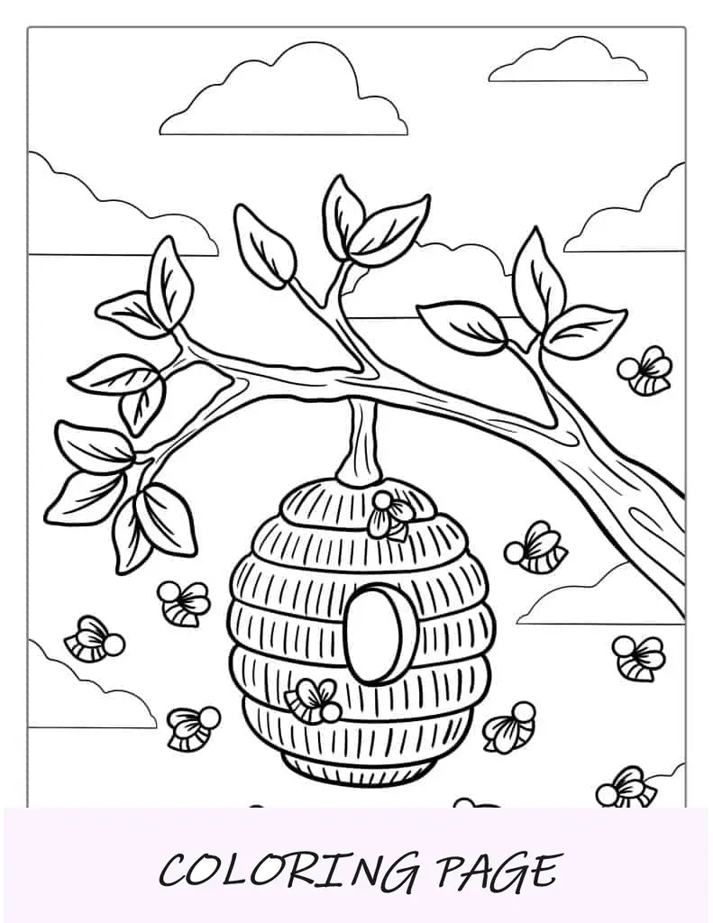 Página Para Colorear De Colmena En Rama Simple Para Niños