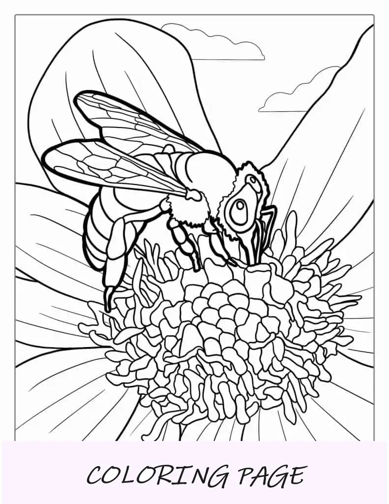 Abeja tomando polen de la flor