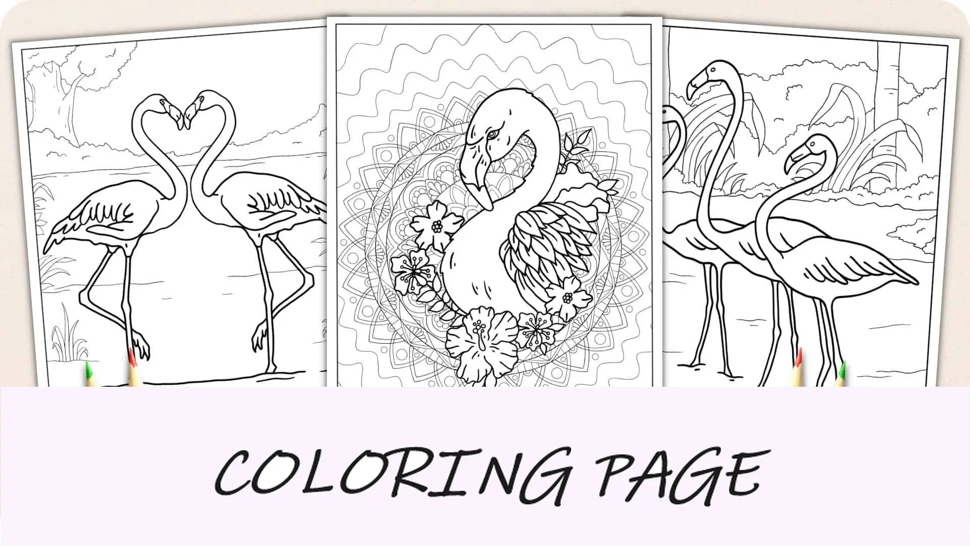 Disegni da colorare di fenicotteri