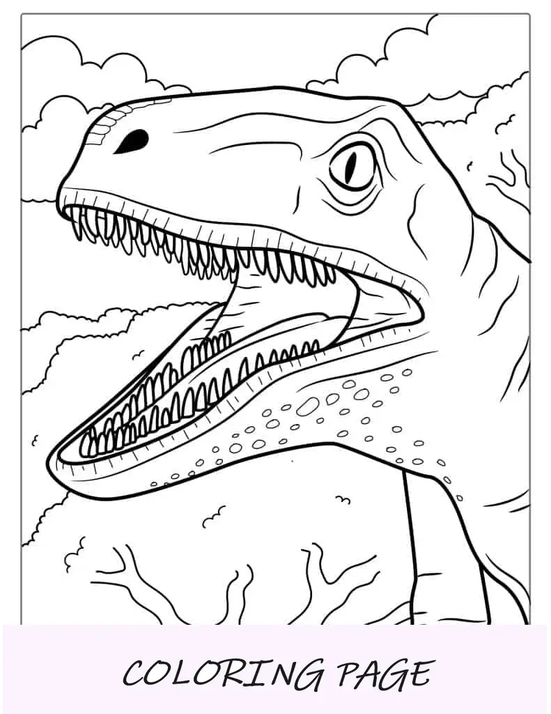 Detaillierter Velociraptor-Kopf mit scharfen Zähnen zum Ausmalen