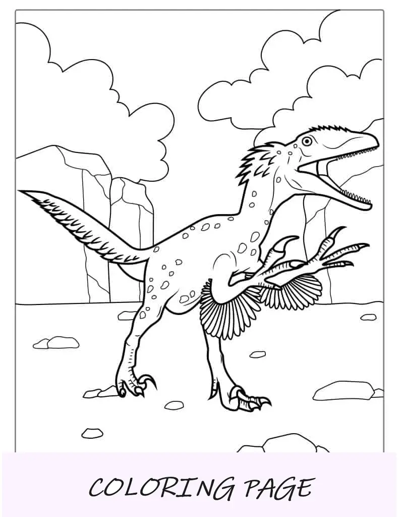 Einfache Malseite mit gefiedertem Velociraptor-Dinosaurier