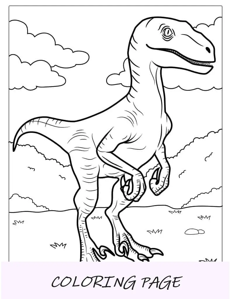 Malvorlage Velociraptor für Erwachsene für Kinder
