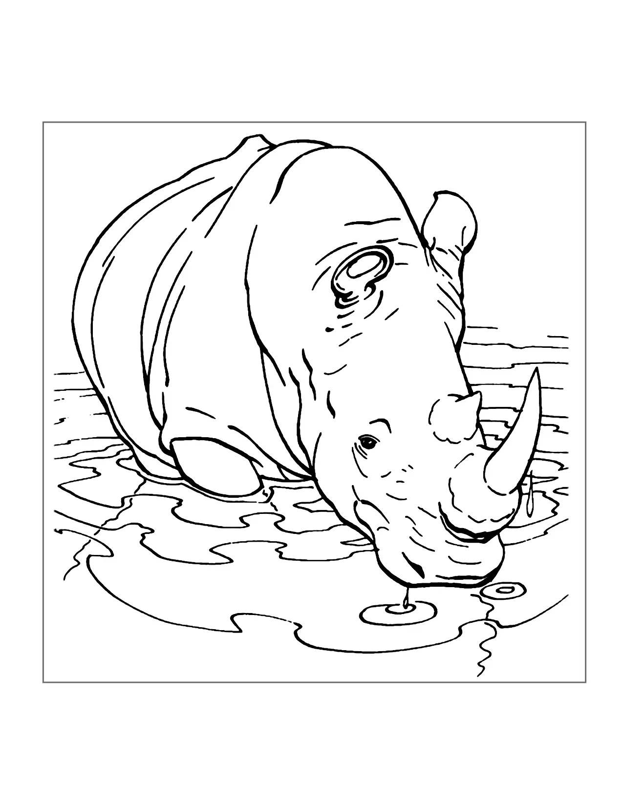 Rhino Malvorlagen