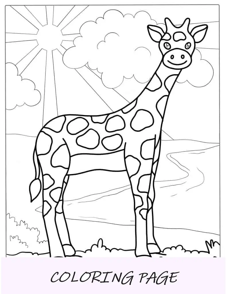 Jirafa En El Safari Para Colorear Para Niños