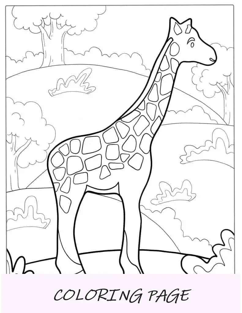 Imagen para colorear de una jirafa para niños pequeños