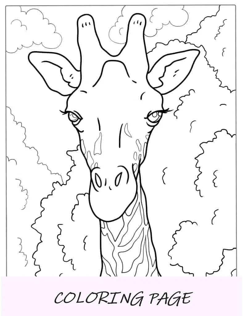Página para colorear de cara de jirafa realista