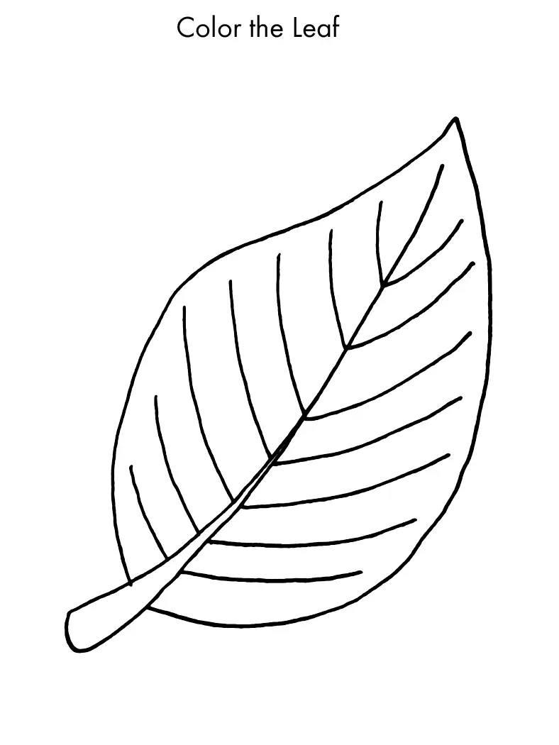 Pagine da colorare di foglie