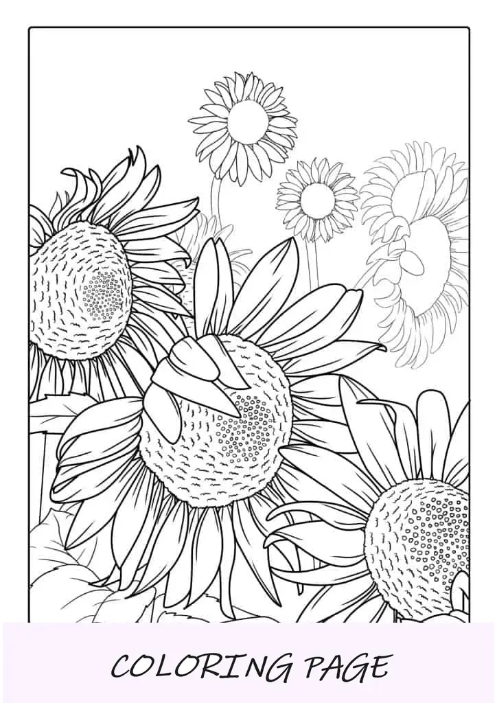 Girasoles detallados para colorear