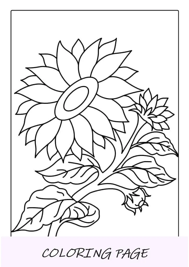 Hoja artística para colorear de girasol