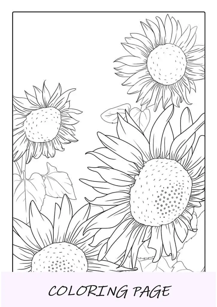 Página para colorear de varios girasoles en el campo