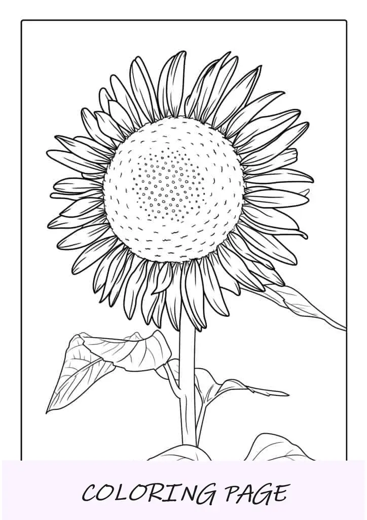 Colorante de girasol grande y atrevido para adultos