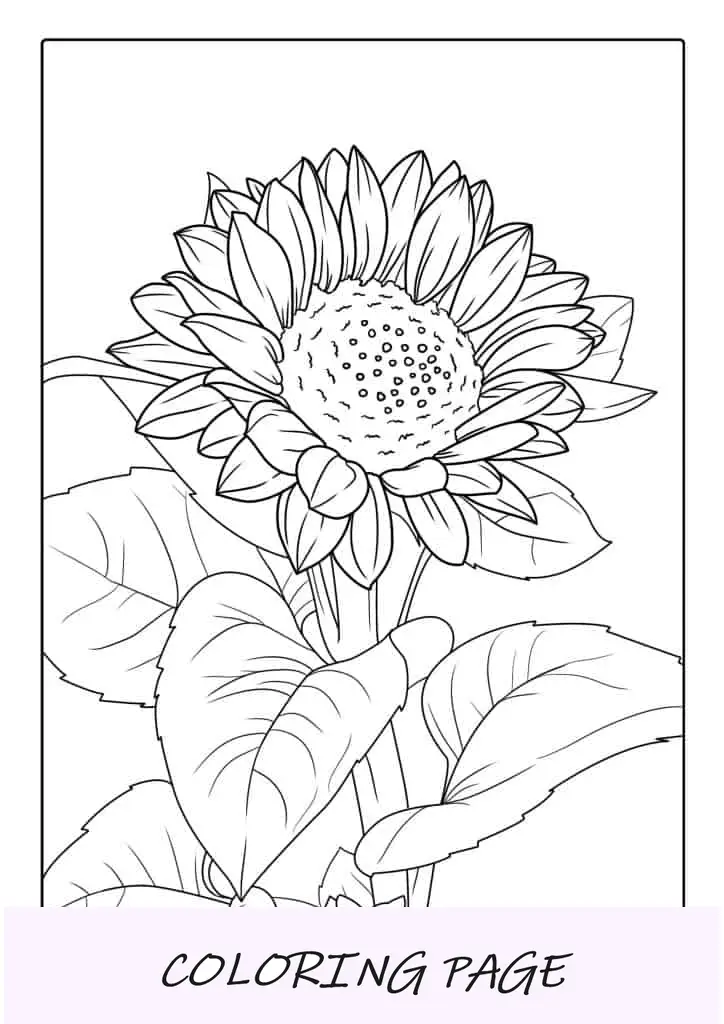 Girasol para colorear