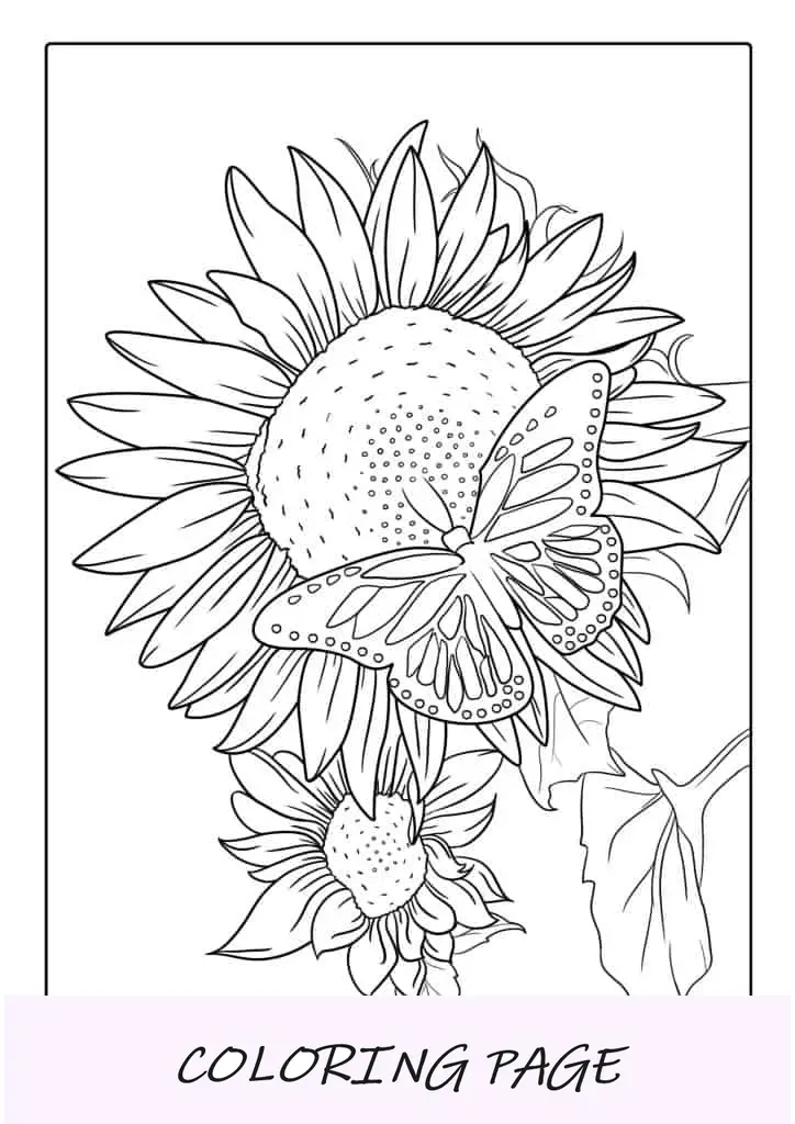 Página para colorear de girasol y mariposa