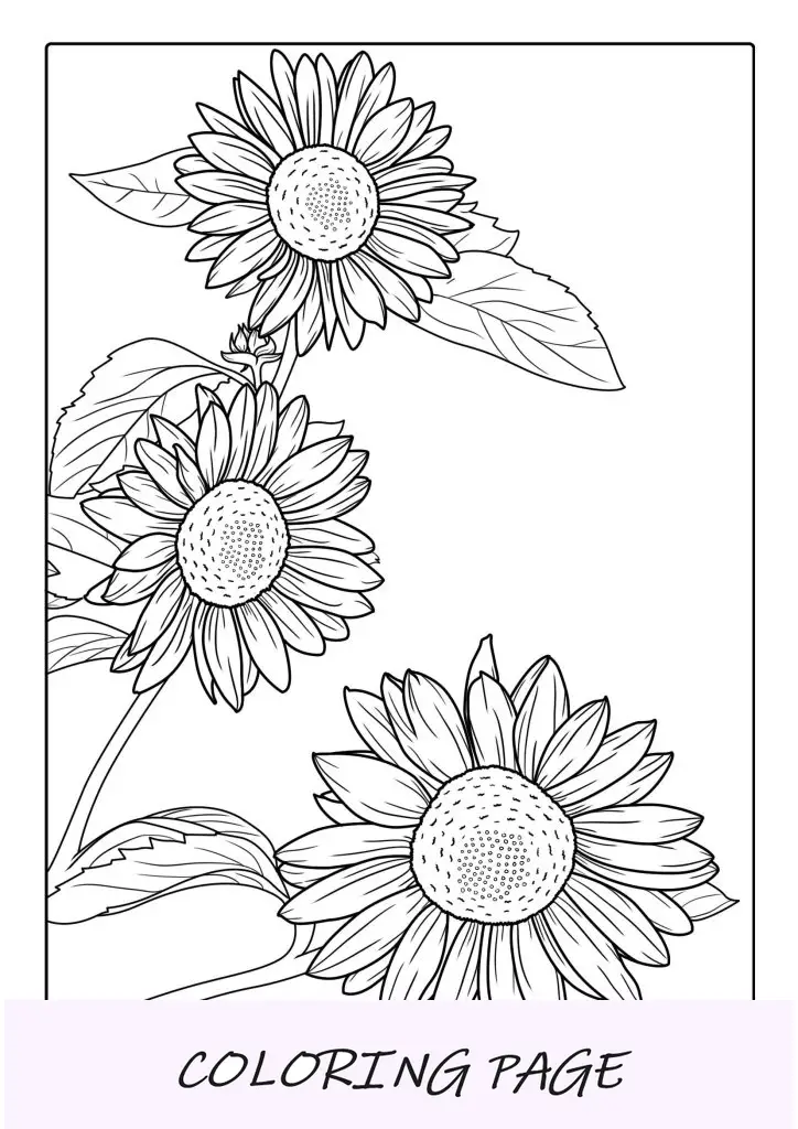 Girasoles ondeando al viento para colorear