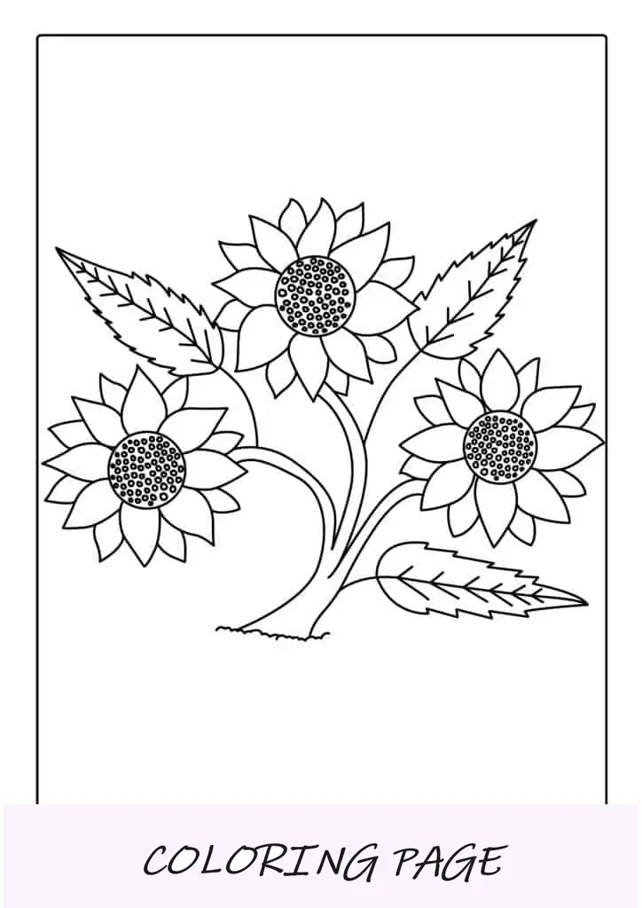 Tres Girasoles En El Campo Para Colorear