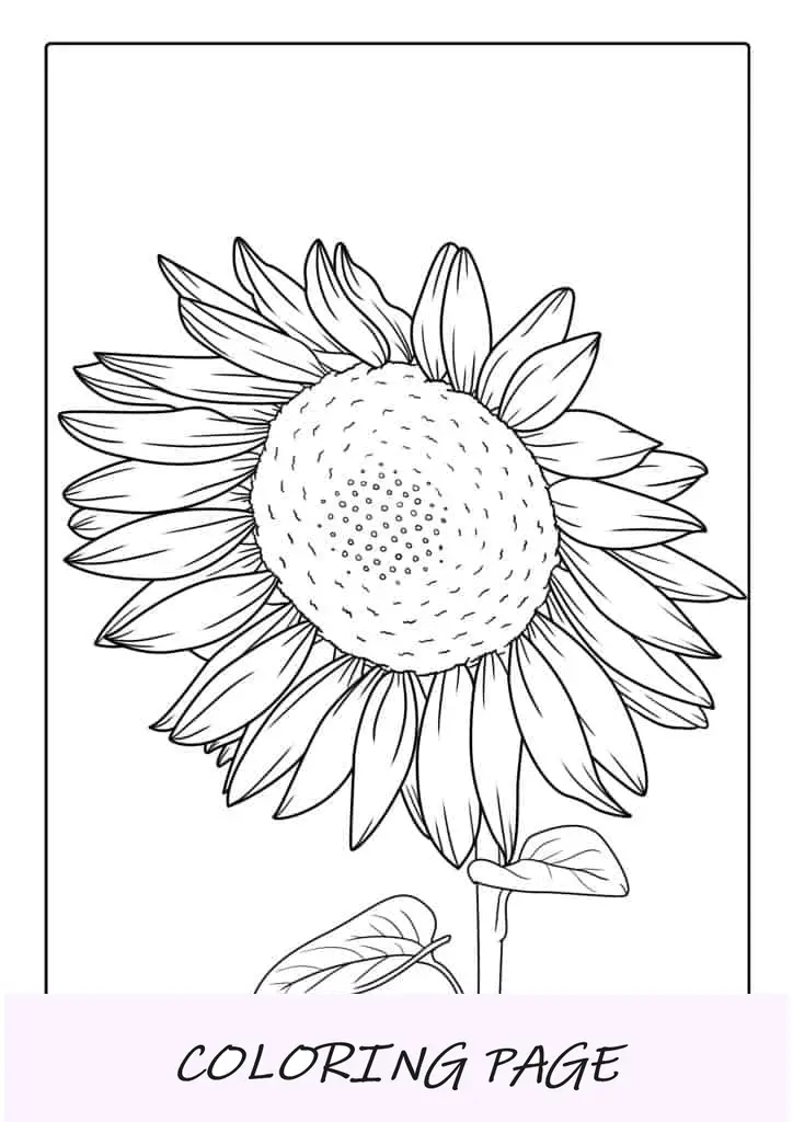 Hoja para colorear de girasol grande