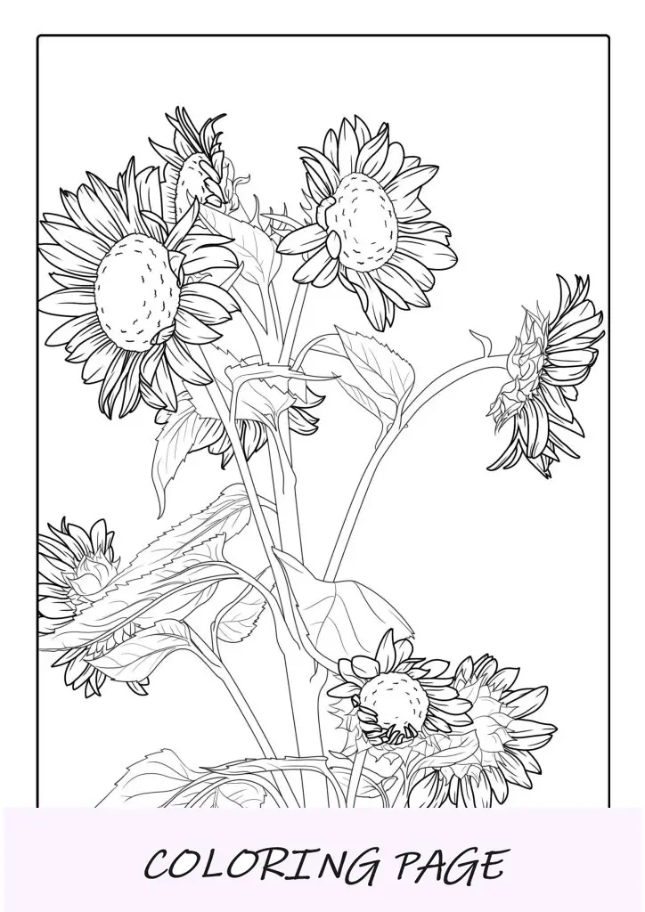 Manojo de girasoles detallados para colorear