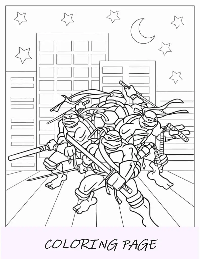 Leonardo, Donatello, Raphael, _ Michaelangelo Ninja Turtles