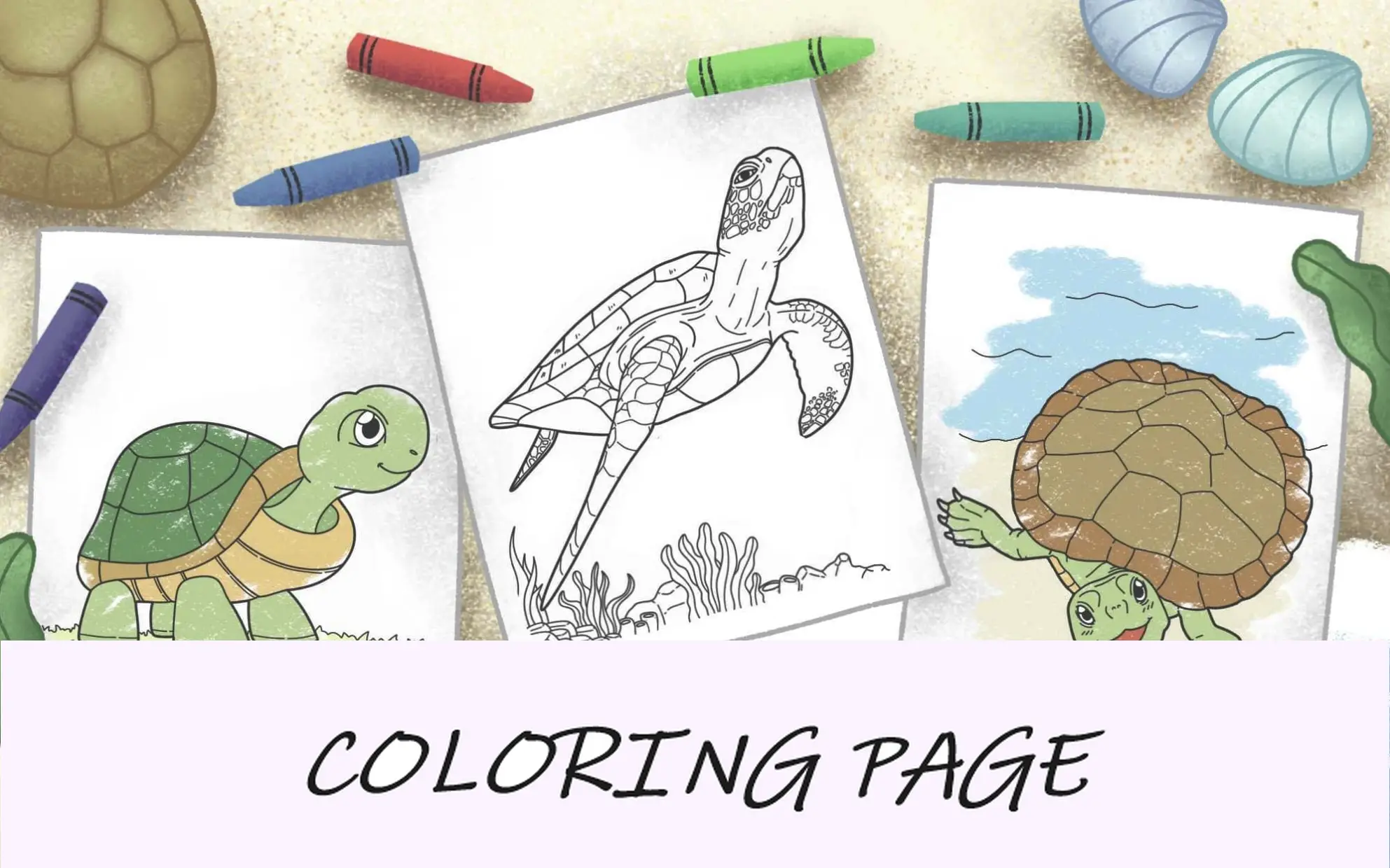Desenhos para colorir de tartarugas