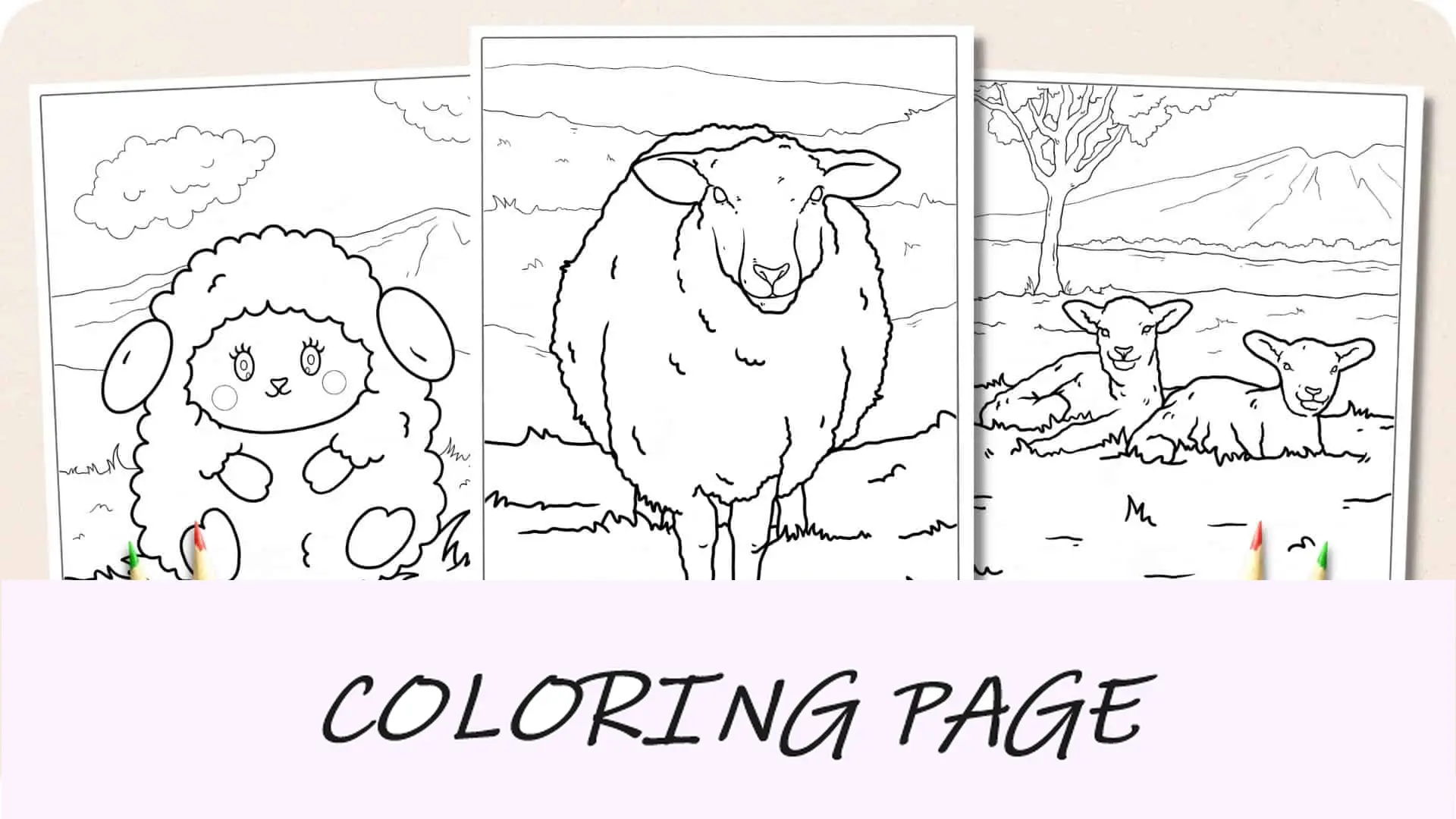Dibujos para colorear de ovejas