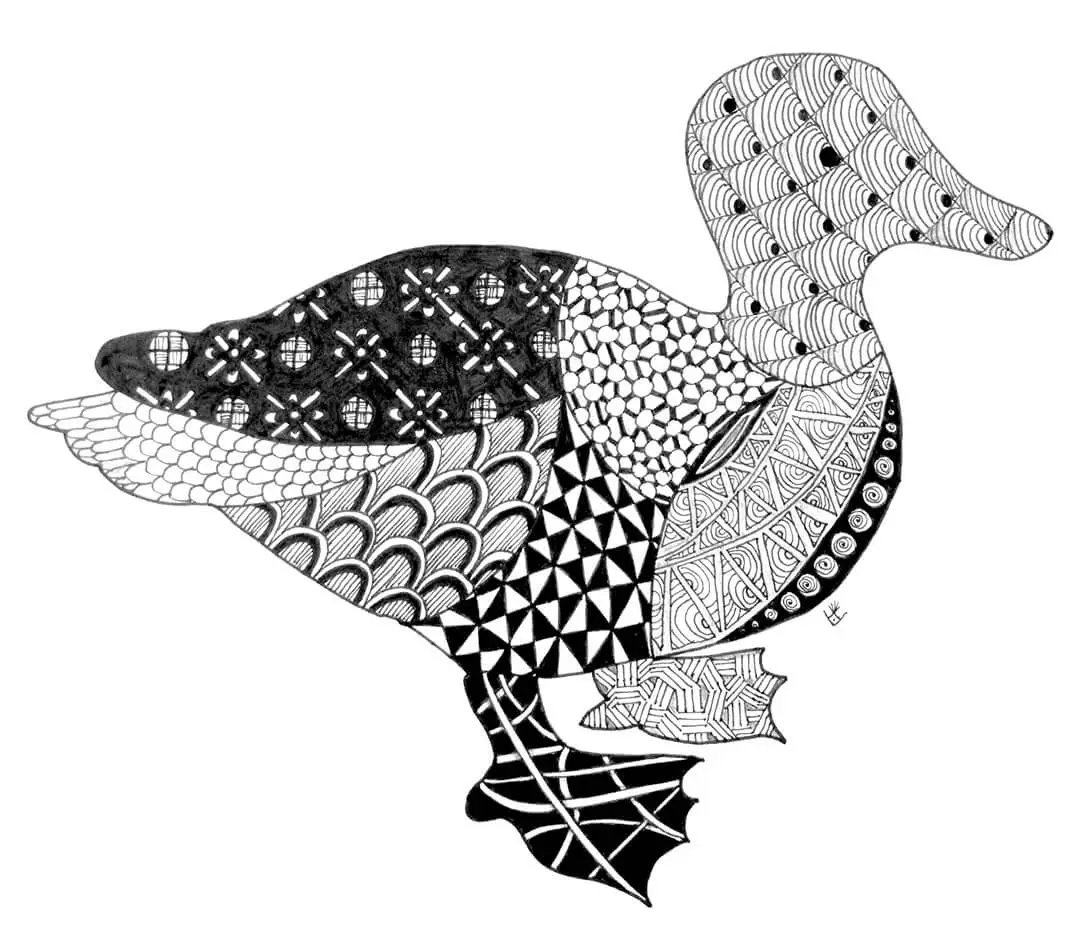 Páginas para colorear de pato