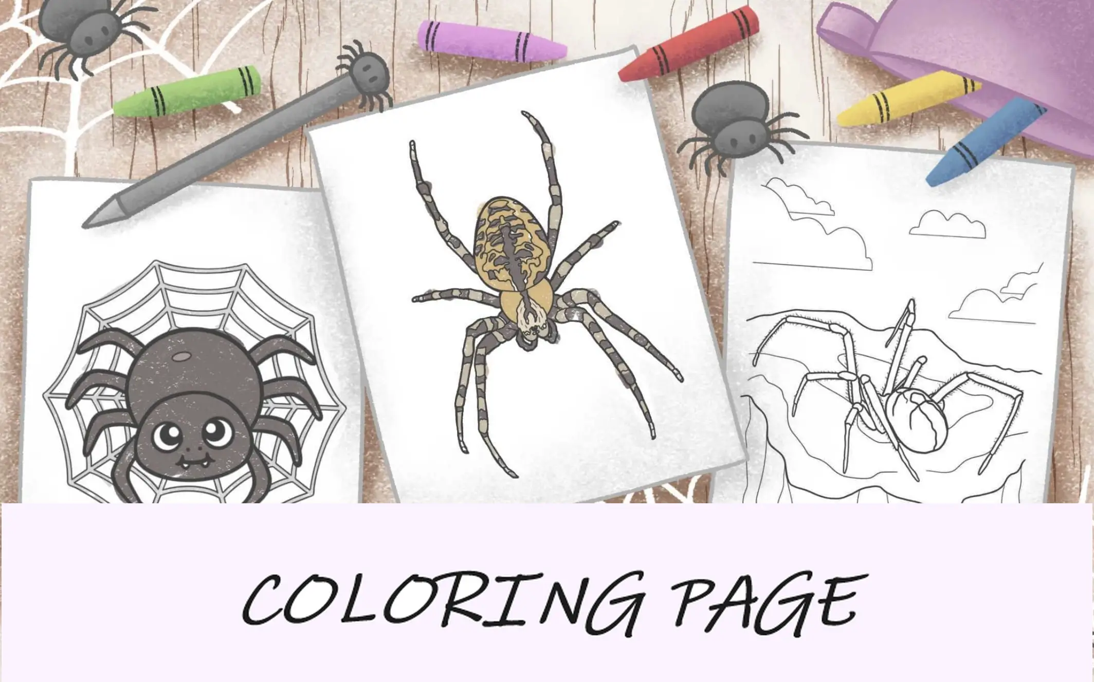 Dibujos para colorear de araña